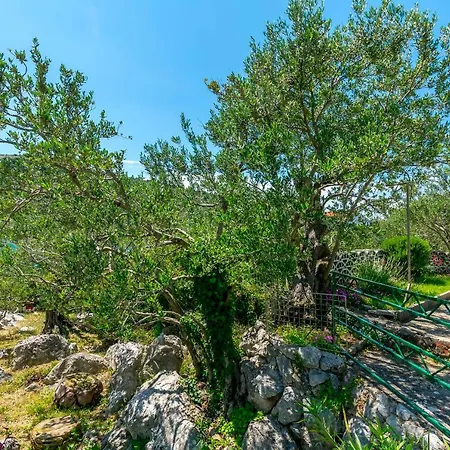 Garden By The Sea Daire *