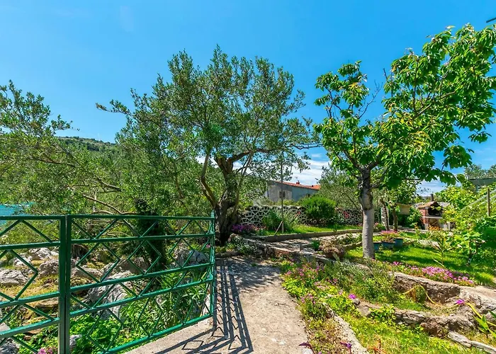 Garden By The Sea * روغوزنيكا