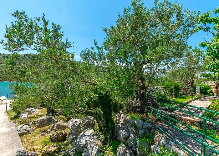 Garden By The Sea شقة *